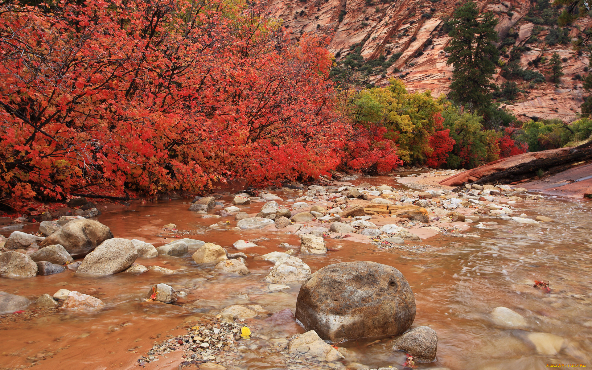 clear, creek, , , , , , , 